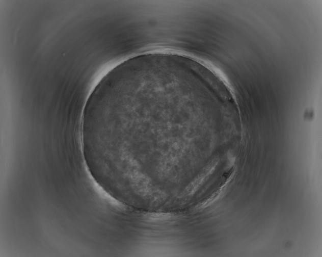 X0000090761247200708031623