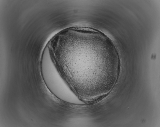 X0000090761248200708031623