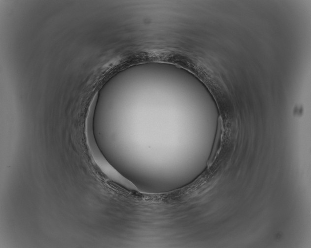 X0000090761249200708031622