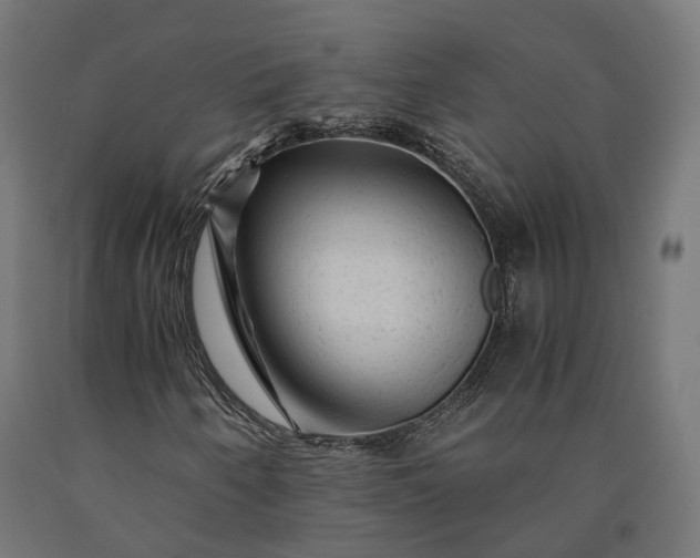 X0000090761250200708031622