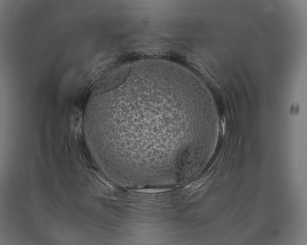 X0000090761251200708031622