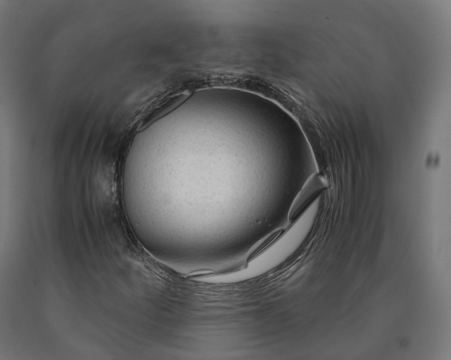 X0000090761252200708031622