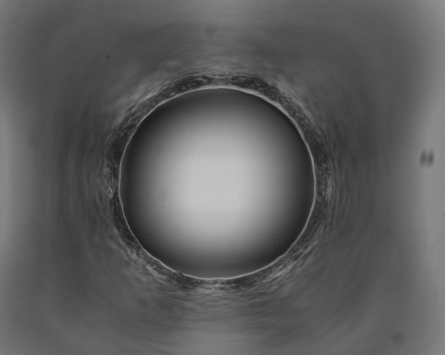 X0000090761253200708031622