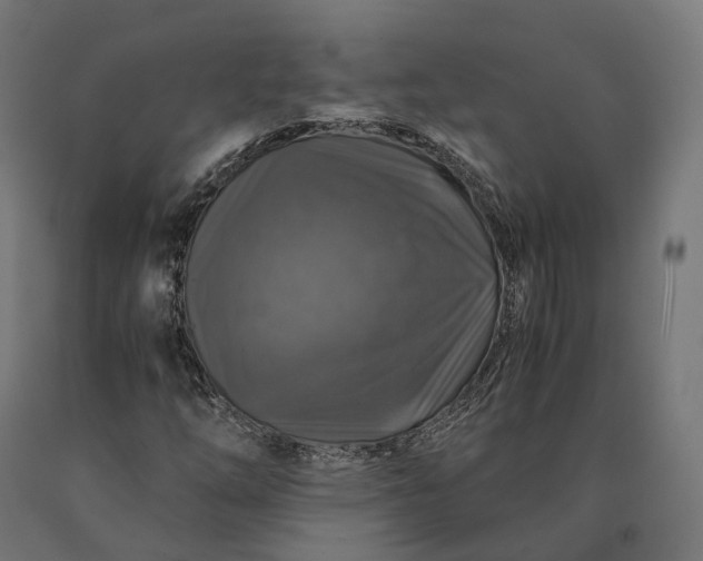 X0000090761254200708031622