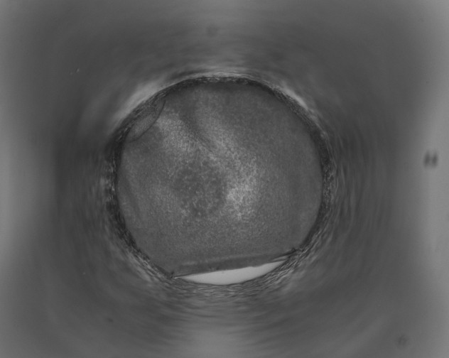 X0000090761255200708031622