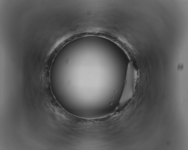 X0000090761256200708031622