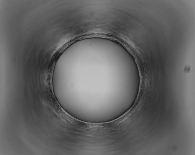 X0000090761258200708031622