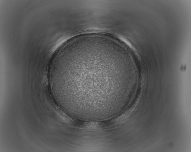 X0000090761259200708031622