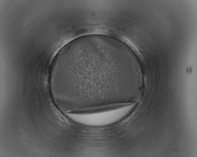 X0000090761260200708031622