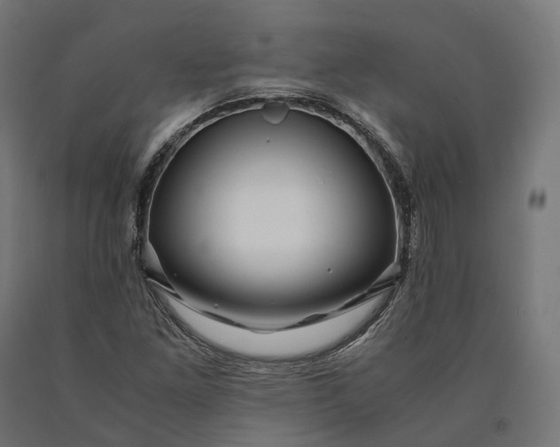 X0000090761261200708031622