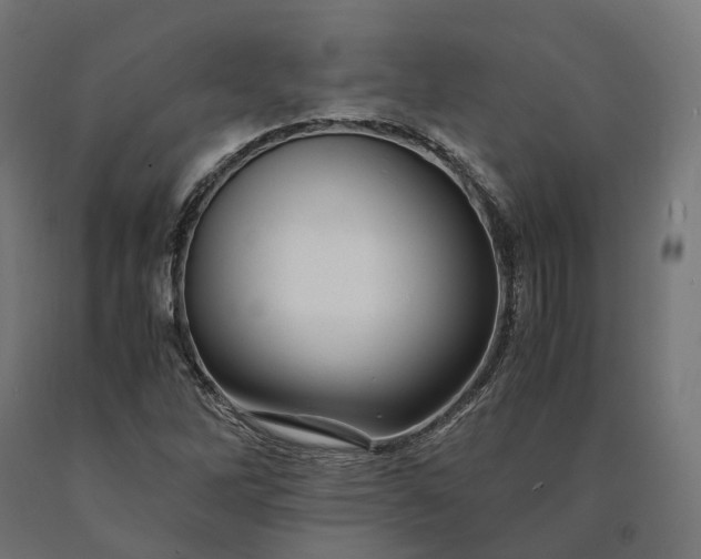 X0000090761262200708031622