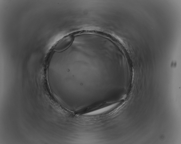 X0000090761263200708031622