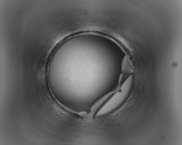 X0000090761264200708031622