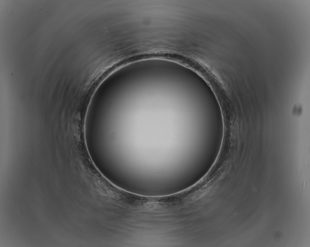 X0000090761265200708031622