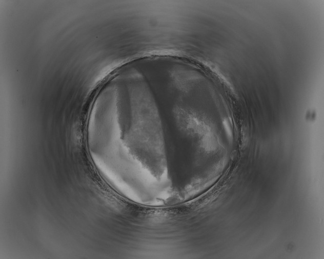 X0000090761266200708031622