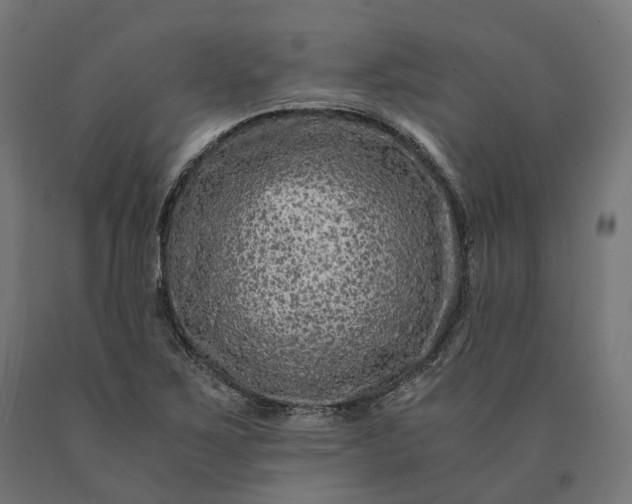 X0000090761267200708031622