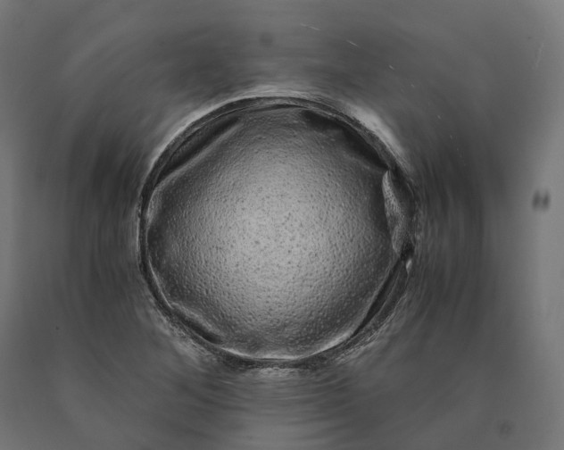 X0000090761268200708031622