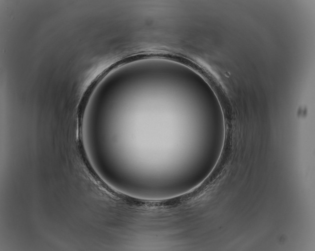 X0000090761269200708031622