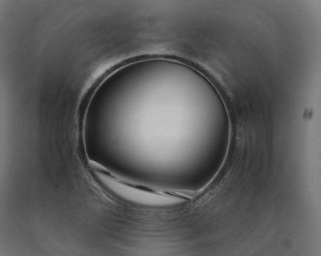 X0000090761270200708031622