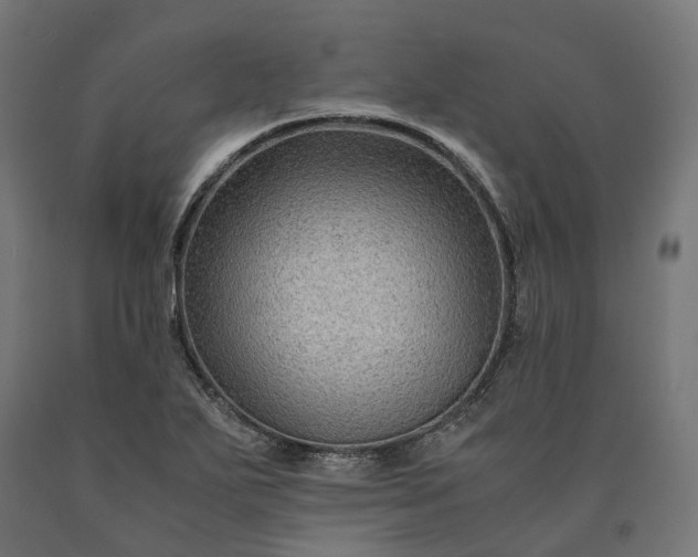 X0000090761271200708031622