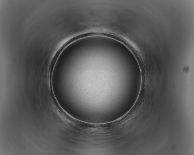 X0000090761272200708031622