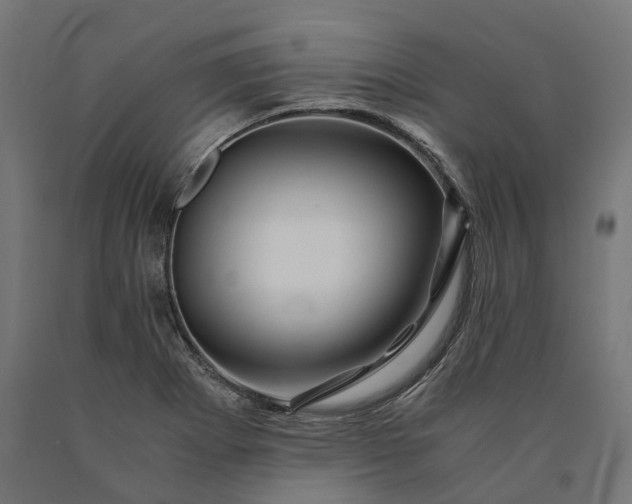 X0000090761273200708031622