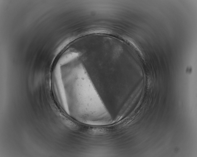 X0000090761274200708031622