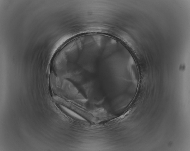 X0000090761275200708031622