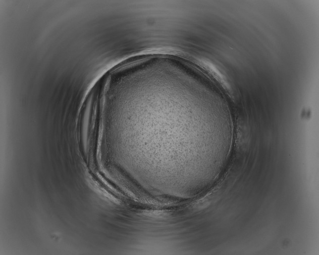 X0000090761276200708031622