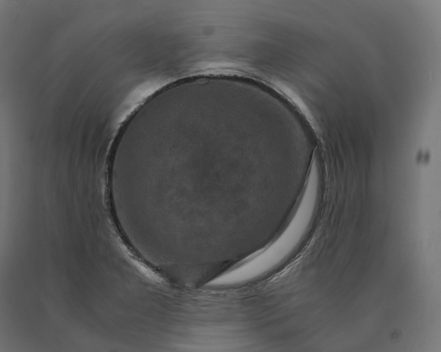 X0000090761277200708031622