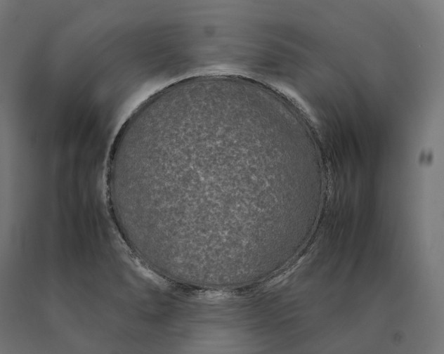 X0000090761278200708031622