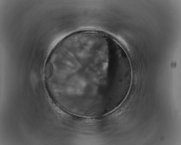 X0000090761279200708031622