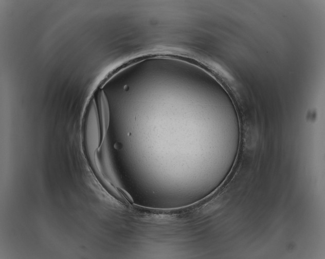 X0000090761280200708031622