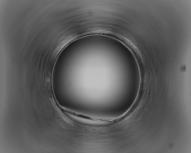 X0000090761281200708031622