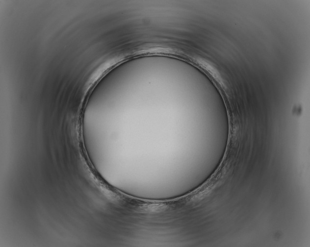 X0000090761282200708031622