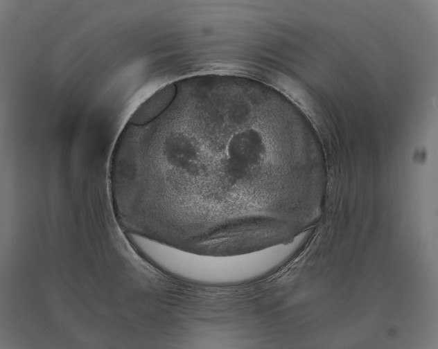 X0000090761283200708031622