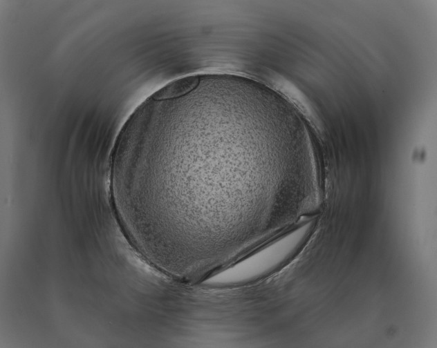 X0000090761284200708031622