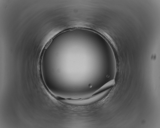 X0000090761285200708031622