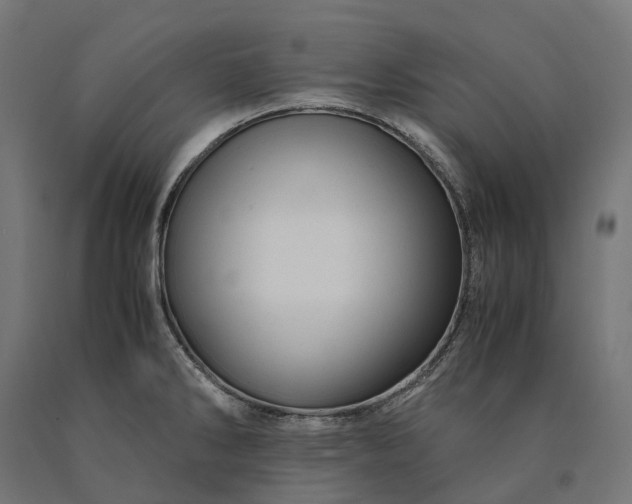 X0000090761286200708031622