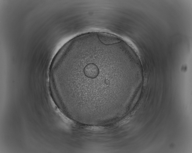 X0000090761287200708031622