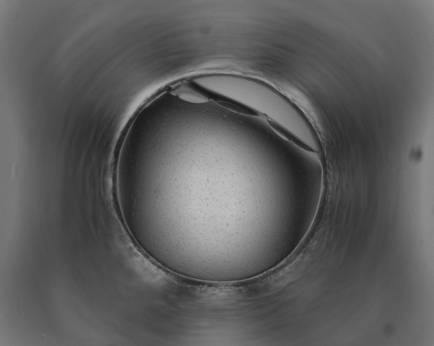 X0000090761288200708031622