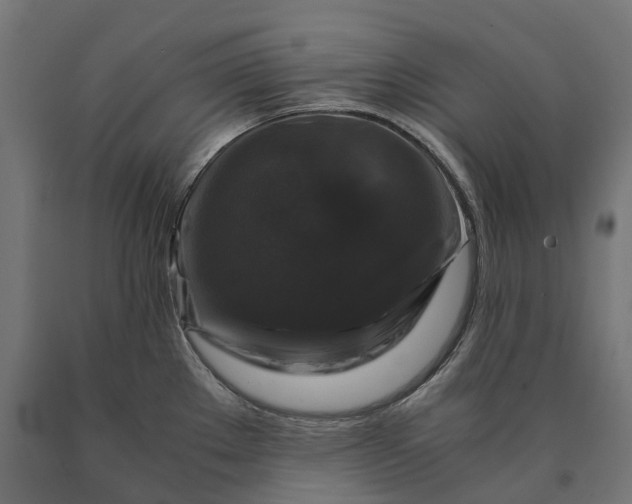 X0000090761289200708031622