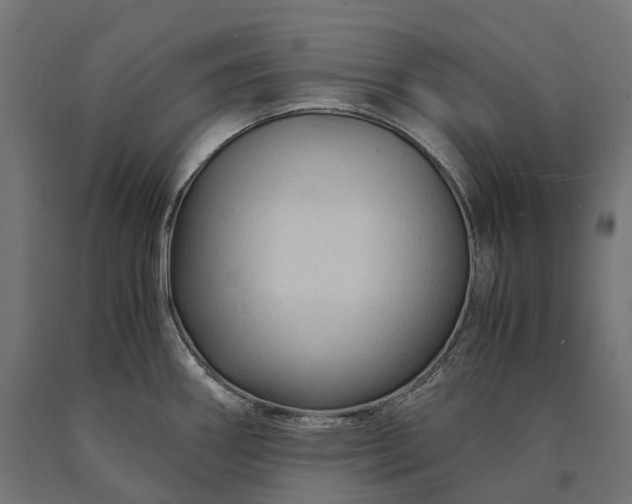 X0000090761290200708031622