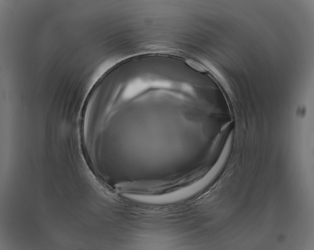 X0000090761291200708031622