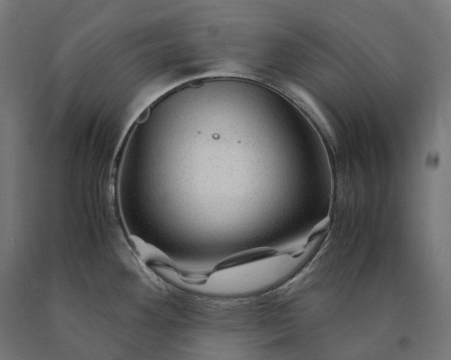 X0000090761292200708031622