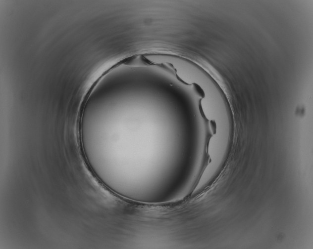 X0000090761293200708031622