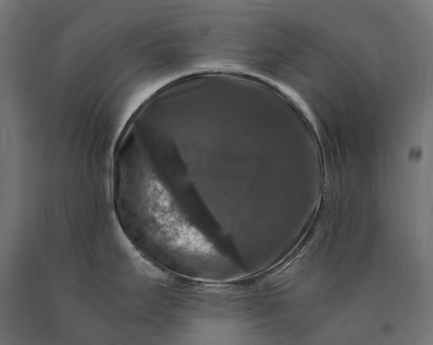 X0000090761295200708031622