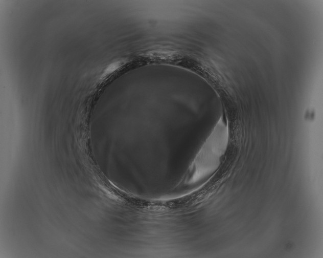 X0000090761297200708031621