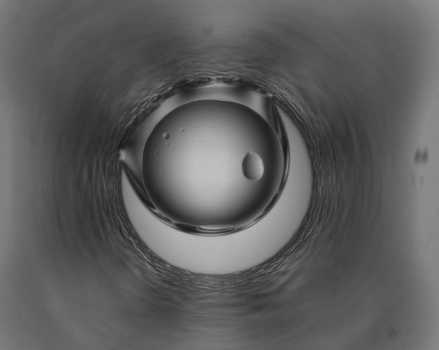 X0000090761298200708031621