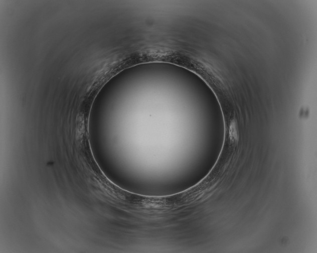 X0000090761299200708031621